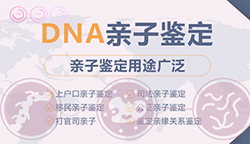 青海匿名亲子鉴定结果准确吗（专家咨询）