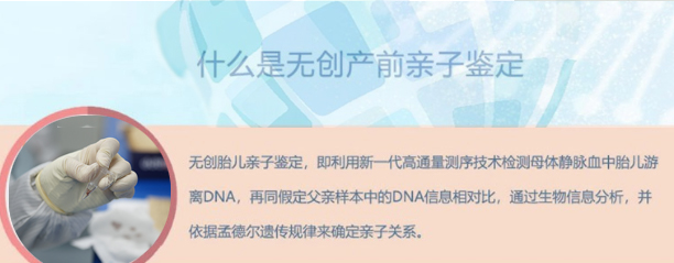青海怀孕四个月需要怎么办理无创胎儿亲子鉴定,青海办理无创怀孕亲子鉴定费用是多少