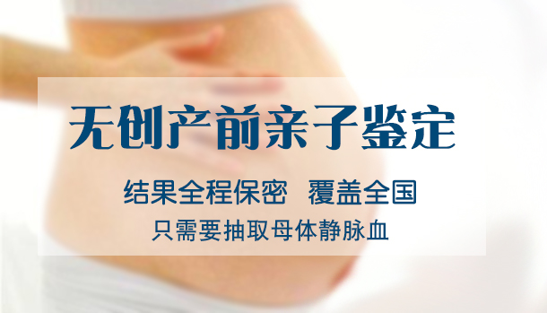 青海怀孕四个月需要怎么办理无创胎儿亲子鉴定,青海办理无创怀孕亲子鉴定费用是多少