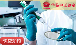 青海同一父系亲缘鉴定